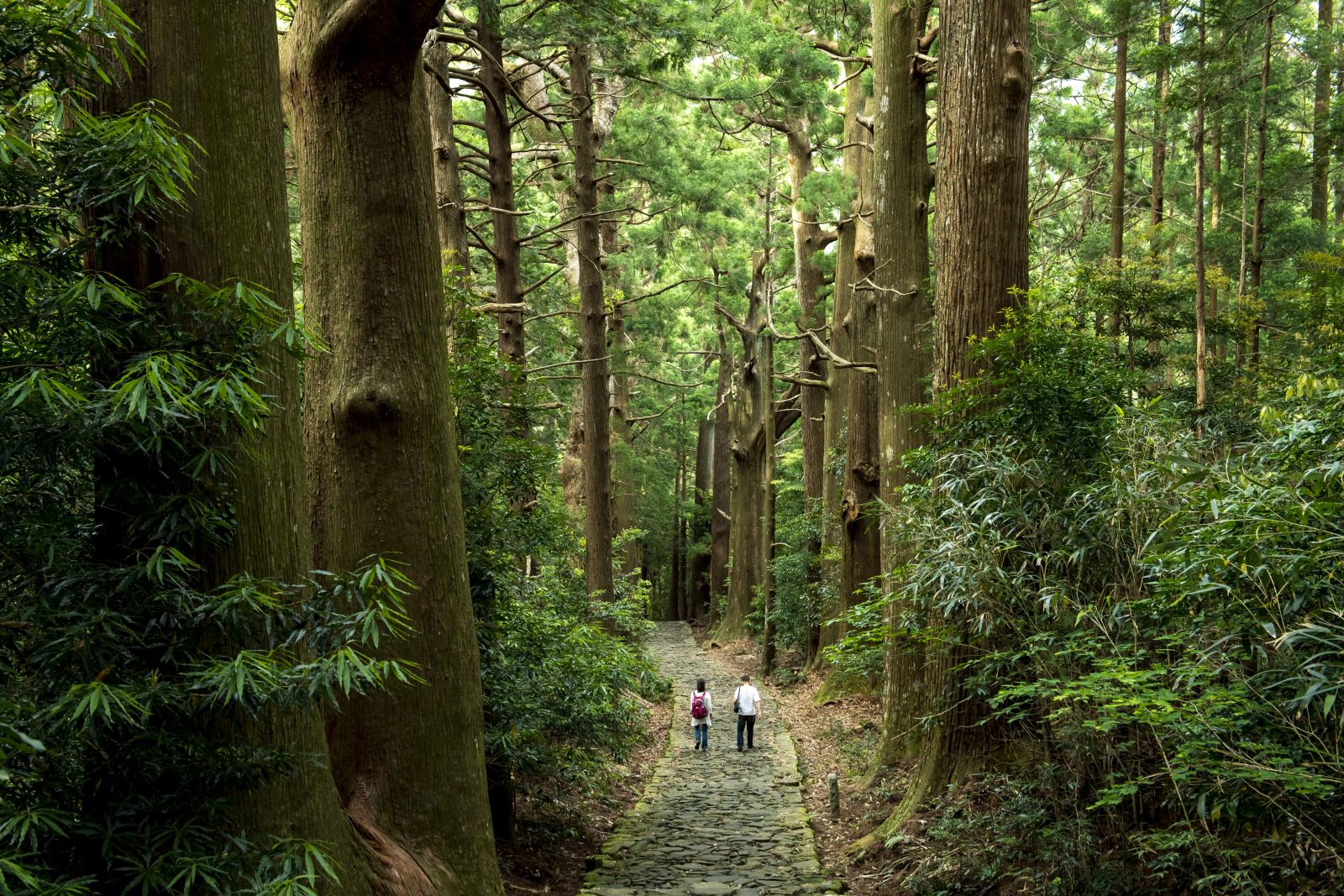 Mercure Wakayama Kushimoto Resort & Spa | Daikadosaka