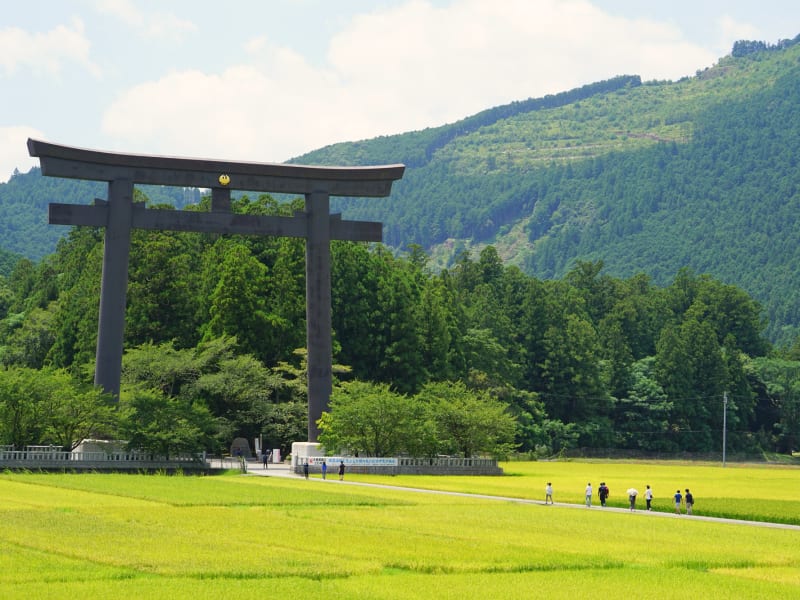 Veltra Rankings | Mercure Wakayama Kushimoto Resort & Spa