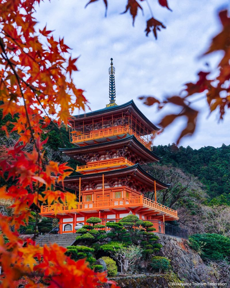 【色彩之旅的时间】红叶景点的介绍