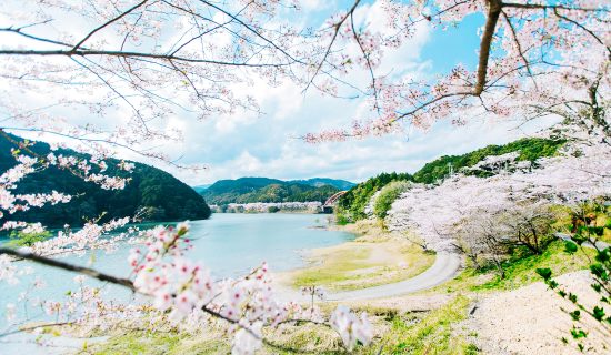 照片画廊|京都宫津美居温泉度假酒店