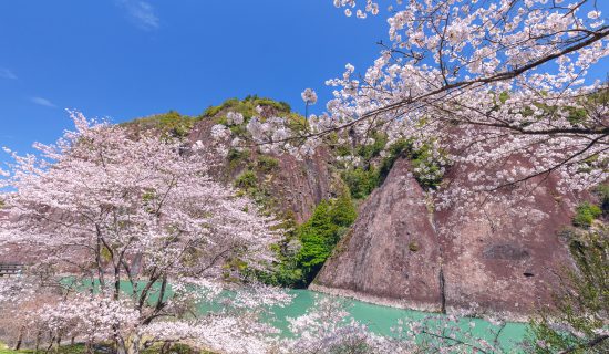 照片画廊|京都宫津美居温泉度假酒店