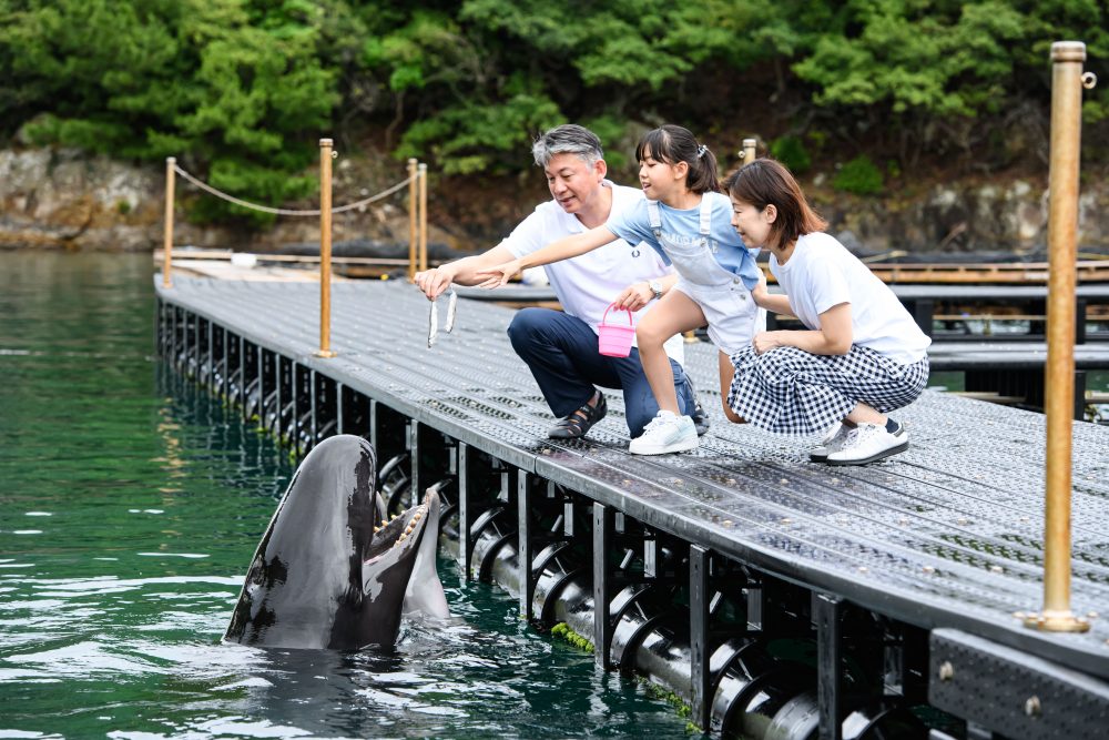 The Taiji Municipal Crillary Museum| Wakayama Kushimoto Mii Hot Springs Holidays
