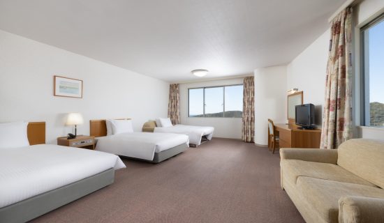 Classic Room with 2 single beds and 1 sofa bed, Mountain view