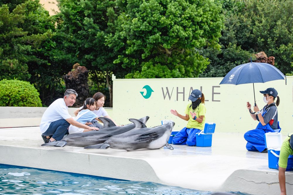How to spend a relaxing and luxurious time with the family away from the busy daily life