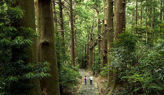 Photo gallery image | Mercure Wakayama Kushimoto Resort & Spa