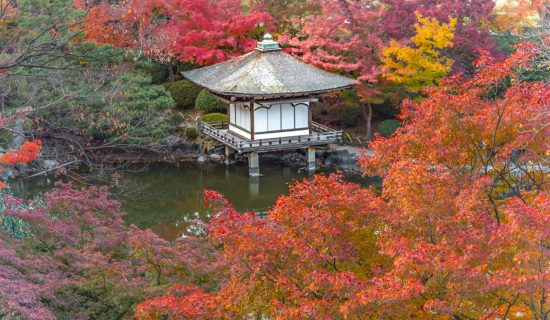 Photo Gallery| Mercure Kyoto Miyazu Resort & Spa