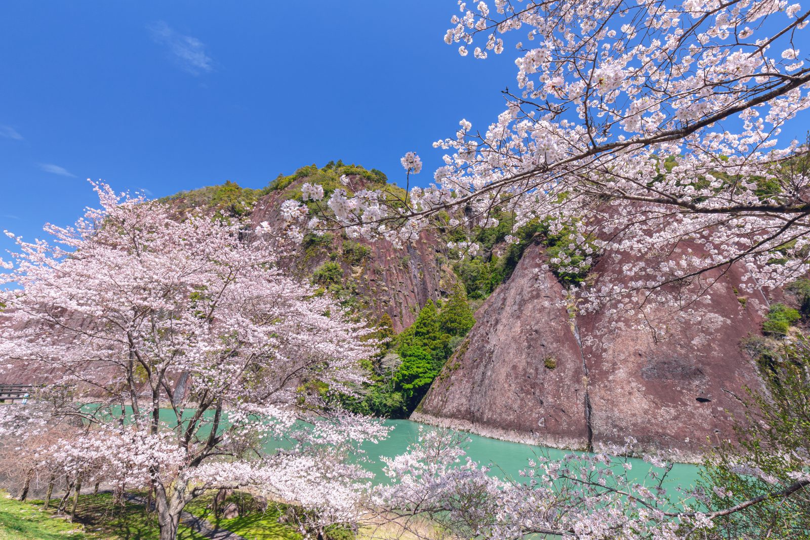 Main Visual Image| Mercure Wakayama Kushimoto Resort & Spa