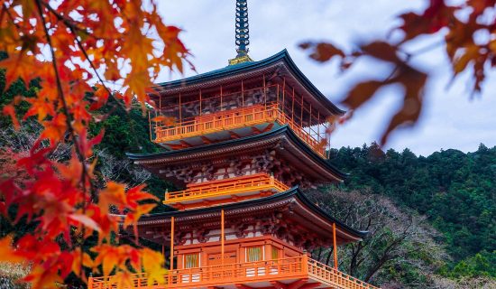 【色彩之旅的時間】紅葉景點的介紹