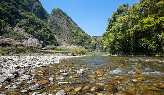 照片畫廊圖像|和歌山串本美居溫泉度假酒店
