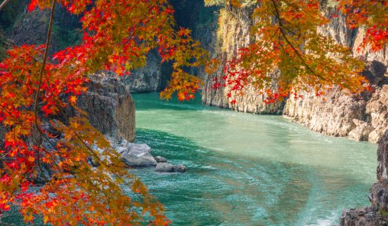 照片畫廊|京都宮津美居溫泉度假酒店