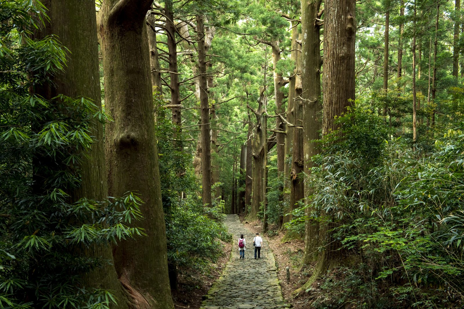 メルキュール和歌山串本リゾート＆スパ  | 大門坂