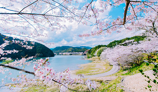 古座川の春を楽しむ