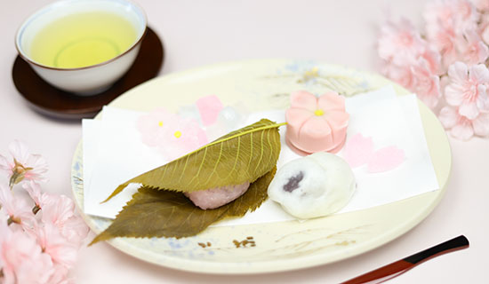 串本の春を味わう｜ 老舗桜菓子とみかん緑茶付きプラン